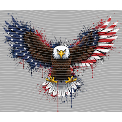 USA-MG 3680